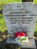 image of grave number 381812